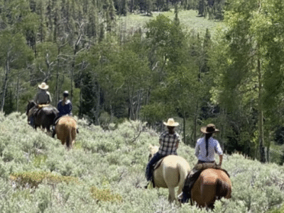 The Hideout Lodge & Guest Ranch – Shell, WY